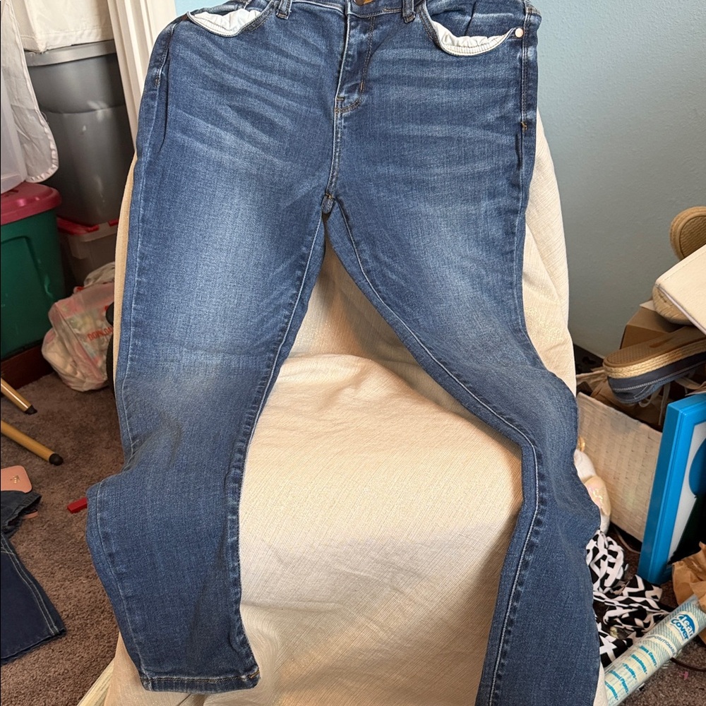 Judy Blue Sz 13/31Classic Mid-Wash Skinny Women's Jeans